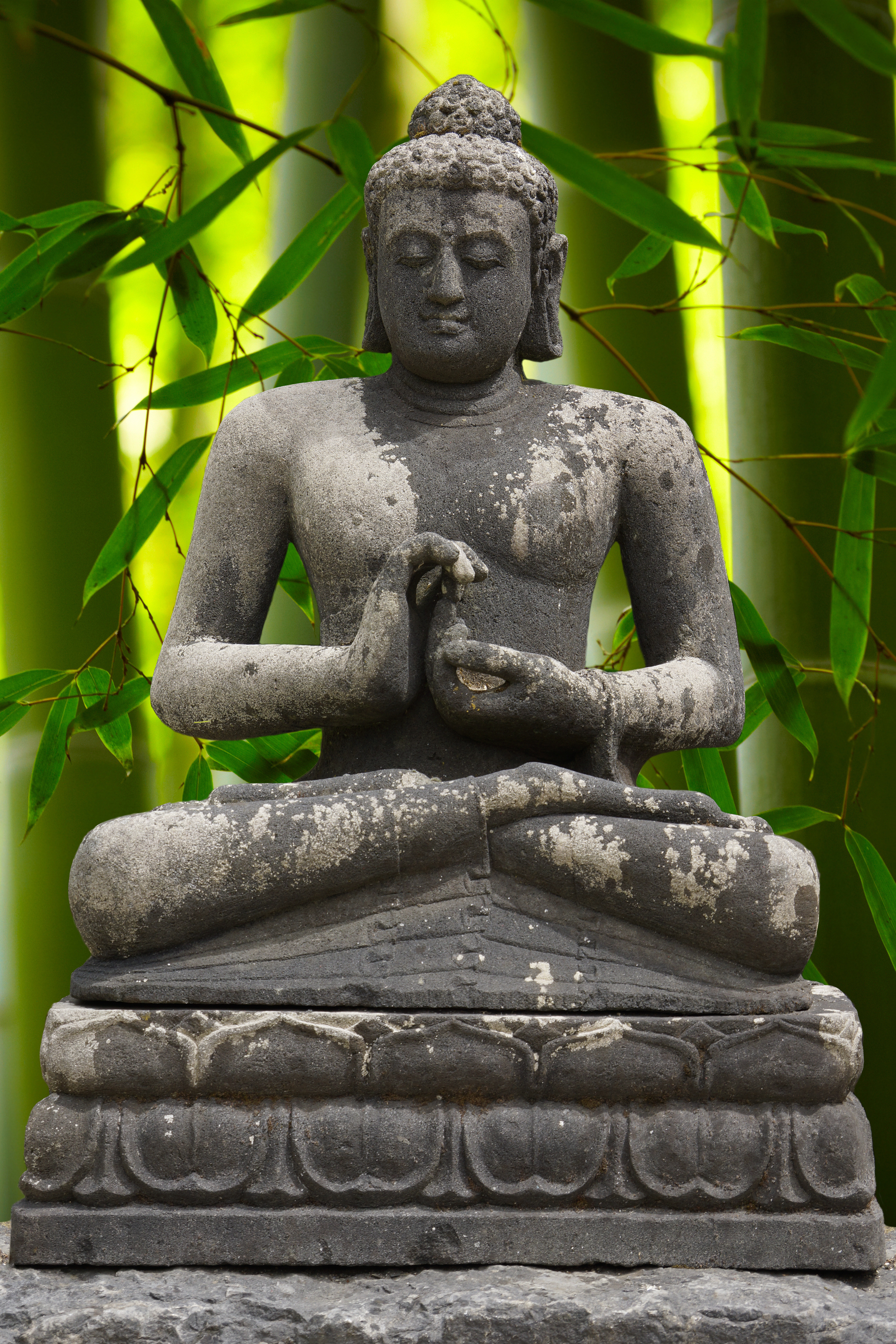 Buddha