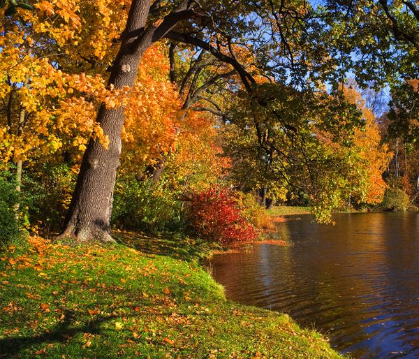 Herbststimmung
