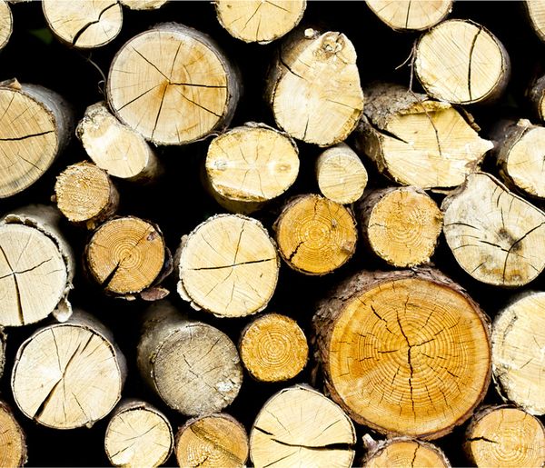 Holzstapel