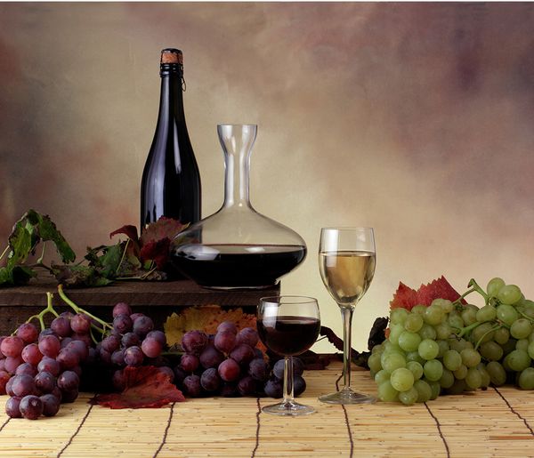 Wein & Trauben